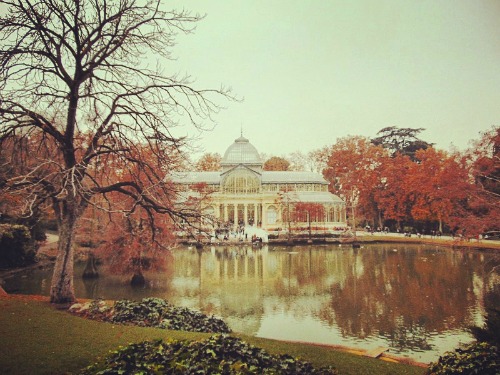 fotos de madrid palacio de cristal