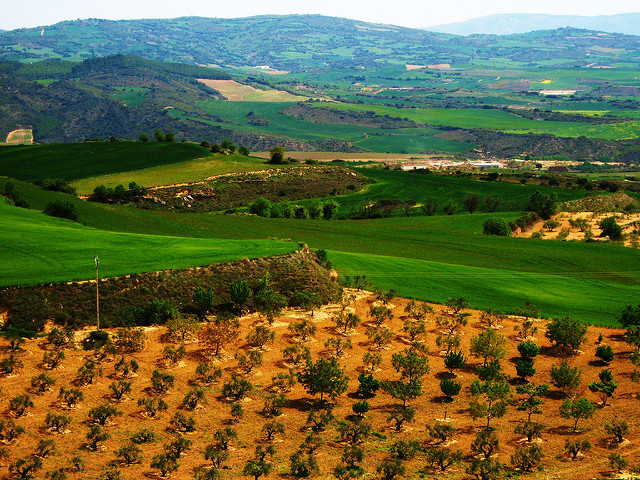 Vinhedos em Navarra. Foto: Hector García (CreativeCommons)