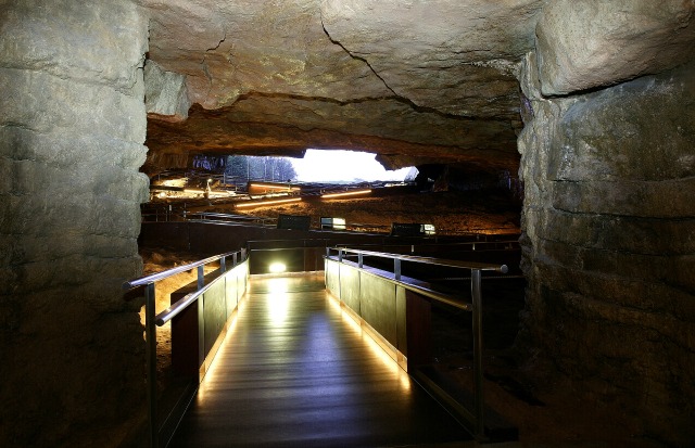 Museo Nacional y Centro de Investigación de Altamira, Ministerio de Educación, Cultura y Deporte de España.2.Neocueva © MNCIA_Otero