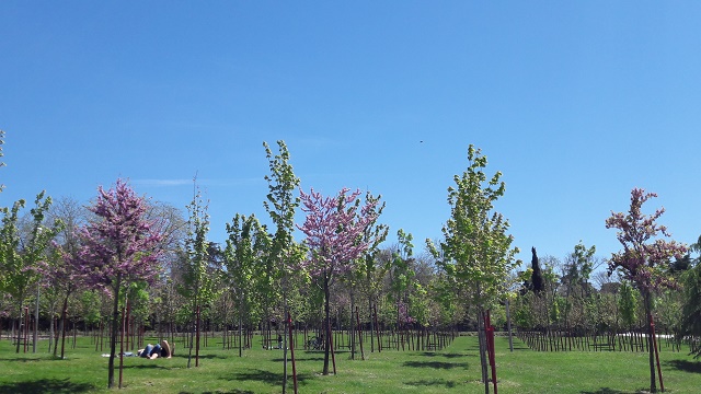 primavera madrid