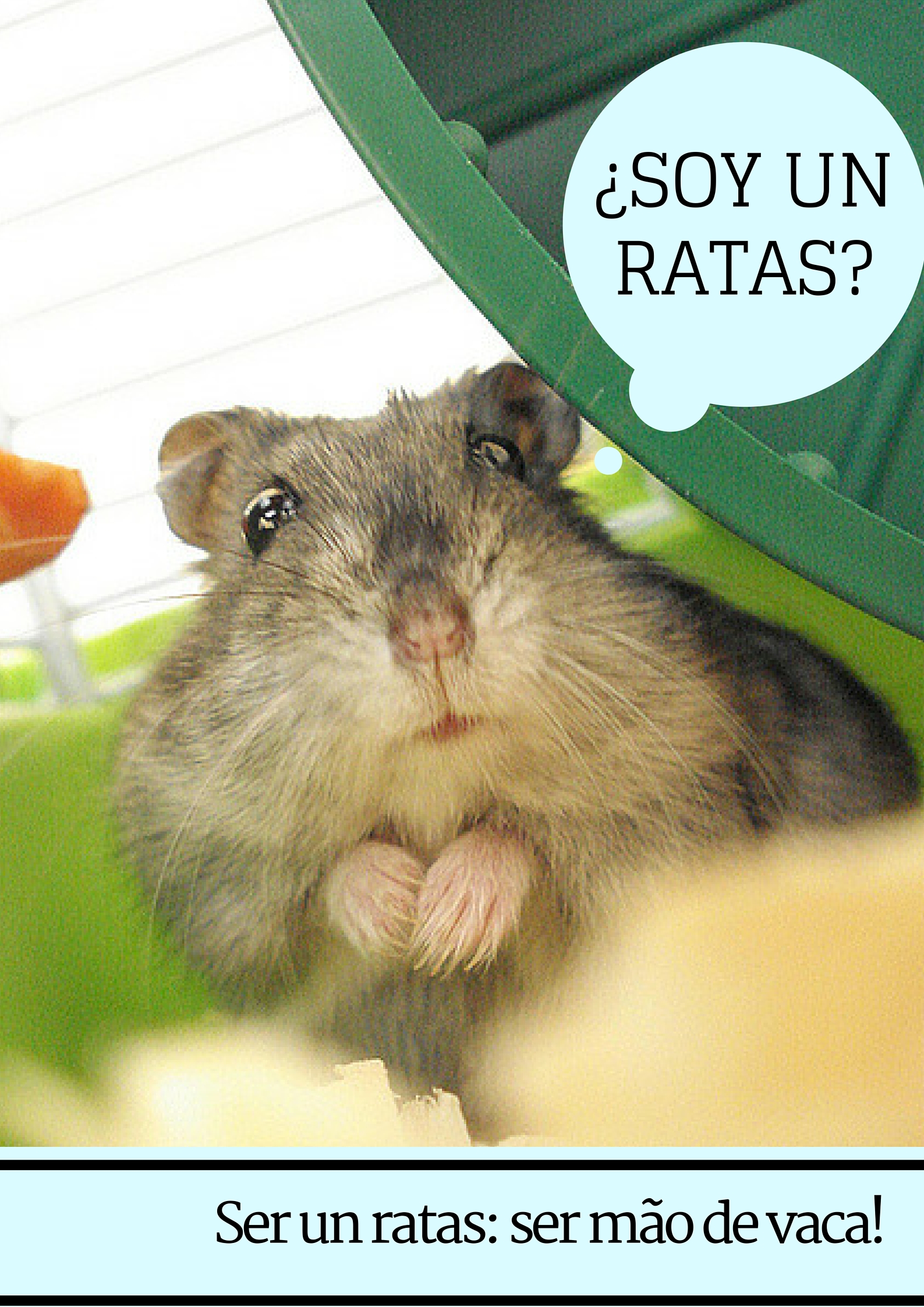 espanhol ratas