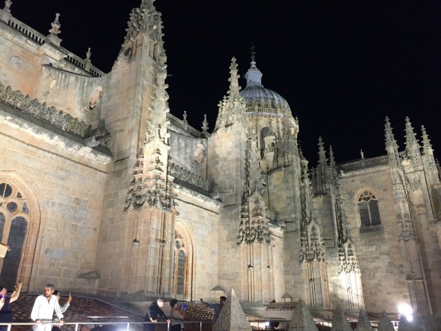 catedrais salamanca