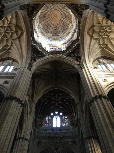 interior catedral nueva