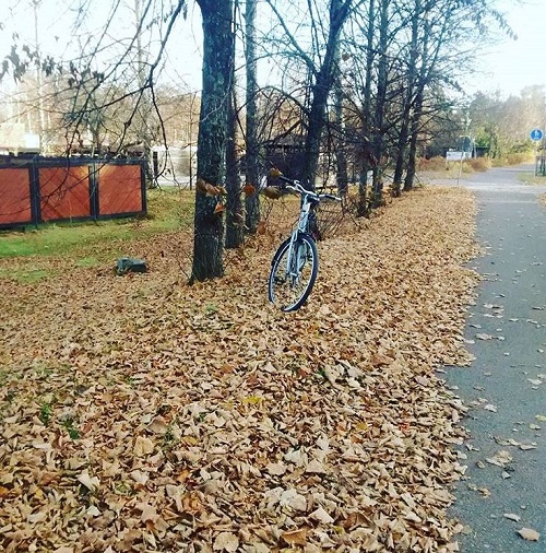 outono na finlandia