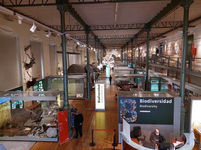 museu-ciencias-naturais-madrid